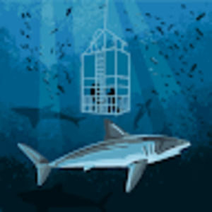 Meet your Posher, Yaseen